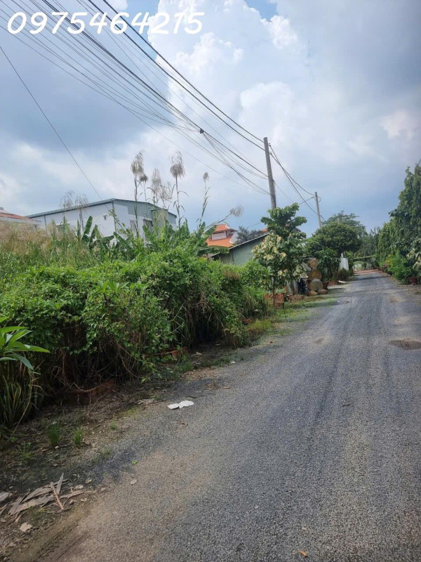 BÁN ĐẤT MẶT TIỀN NGUYỄN THỊ TƯ – PHÚ HỮU, TP. THỦ ĐỨC 8000m2